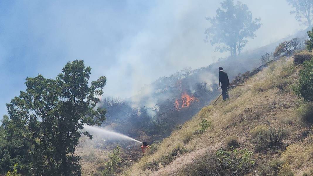 Bingöl'ün Genç ve Kiğı ilçelerinde orman yangını 10